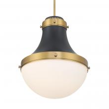 Minka-Lavery 3934-876 - 1 LIGHT PENDANT