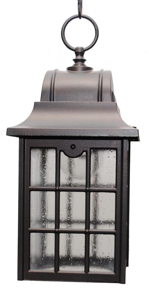 Avanti 600 Series Hanging Model 631 Small Outdoor Wall Lantern