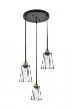 Elegant LD4047D16BRB - Auspice Hanging W16"*H9.2" BRB