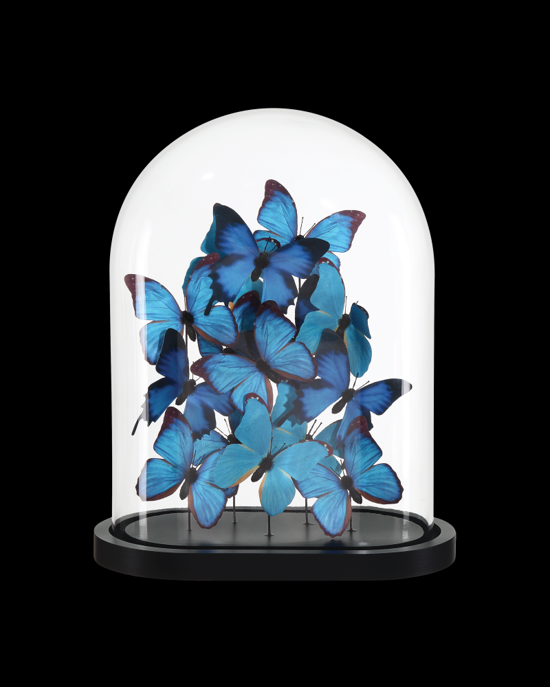Rue de Bac Blue Large Butterflies