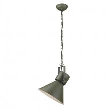 Trend Lighting by Acclaim TP10026GN - Crew 1-Light Pendant